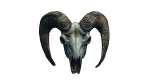 Sheep Skull V3 Vinyl Car Decal Sticker – Waterproof & UV-Resistant 8"