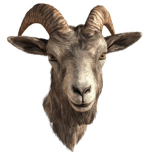 Realistic Goat Head Vinyl Car Decal Sticker – Waterproof & UV-Resistant 8" Realistic Goat Head Vinyl Car Decal Sticker – Waterproof & UV-Resistant 8"