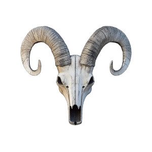 Art Deco Ram Skull Vinyl Car Decal Sticker – Waterproof & UV-Resistant 8" Art Deco Ram Skull Vinyl Car Decal Sticker – Waterproof & UV-Resistant 8"