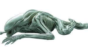 Alien Examination Vinyl Car Decal Sticker – Waterproof & UV-Resistant 8"