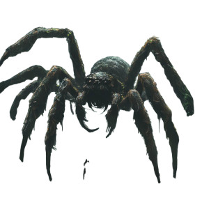 Giant Monster Spider Vinyl Car Decal Sticker – Waterproof & UV-Resistant 8" Giant Monster Spider Vinyl Car Decal Sticker – Waterproof & UV-Resistant 8"