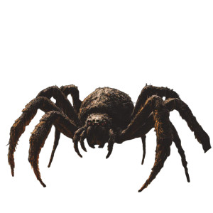 Jungle Temple Spider Vinyl Car Decal Sticker – Waterproof & UV-Resistant 8" Jungle Temple Spider Vinyl Car Decal Sticker – Waterproof & UV-Resistant 8"