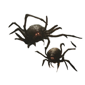Spider Swarm Vinyl Car Decal Sticker – Waterproof & UV-Resistant 8" Spider Swarm Vinyl Car Decal Sticker – Waterproof & UV-Resistant 8"