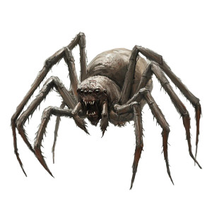 Aggressive Combat Spider Vinyl Car Decal Sticker – Waterproof & UV-Resistant 8"