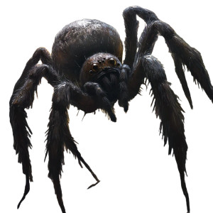 Giant Spider V5 Vinyl Car Decal Sticker – Waterproof & UV-Resistant 8" Giant Spider V5 Vinyl Car Decal Sticker – Waterproof & UV-Resistant 8"