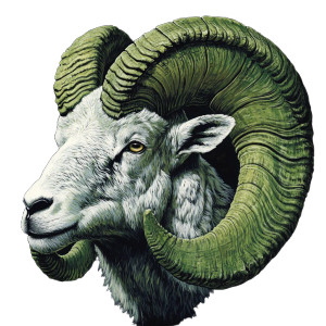 Bighorn Ram Head Vinyl Car Decal Sticker – Waterproof & UV-Resistant 8"
