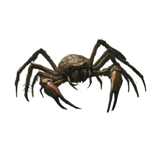 Swamp Spider Crab Vinyl Car Decal Sticker – Waterproof & UV-Resistant 8"