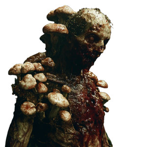 Fungal Zombie Vinyl Car Decal Sticker – Waterproof & UV-Resistant 8" Fungal Zombie Vinyl Car Decal Sticker – Waterproof & UV-Resistant 8"
