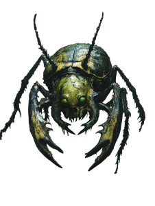 Giant Swamp Scarab Vinyl Car Decal Sticker – Waterproof & UV-Resistant 8" Giant Swamp Scarab Vinyl Car Decal Sticker – Waterproof & UV-Resistant 8"