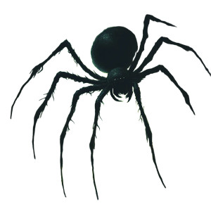 Giant Garden Spider Vinyl Car Decal Sticker – Waterproof & UV-Resistant 8"