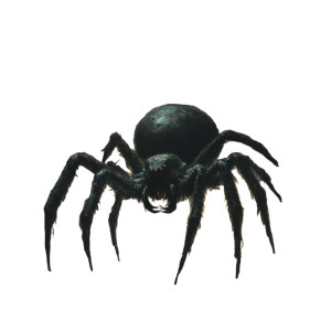Giant Spider V11 Vinyl Car Decal Sticker – Waterproof & UV-Resistant 8"