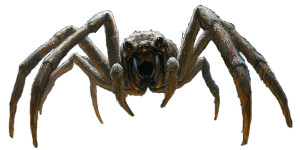 Giant Wolf Spider V2 Vinyl Car Decal Sticker – Waterproof & UV-Resistant 8"