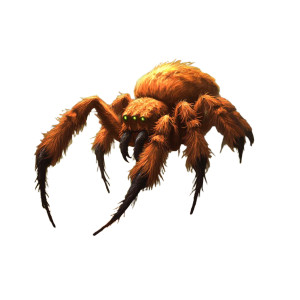 Fiery Orange Spider Vinyl Car Decal Sticker – Waterproof & UV-Resistant 8"