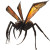 Giant Wasp-Spider Vinyl Car Decal Sticker – Waterproof & UV-Resistant 8"