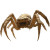 Desert Ambush Spider Vinyl Car Decal Sticker – Waterproof & UV-Resistant 8"