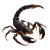 Scorpio Vinyl Car Decal Sticker – Waterproof & UV-Resistant 8"
