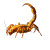 Emperor Scorpion Painting Vinyl Car Decal Sticker – Waterproof & UV-Resistant 8"