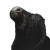 Monster Profile Vinyl Car Decal Sticker – Waterproof & UV-Resistant 8"