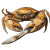 Crab With Knife Vinyl Car Decal Sticker – Waterproof & UV-Resistant 8"