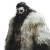 Arctic Goliath Druid Vinyl Car Decal Sticker – Waterproof & UV-Resistant 8"