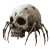 Skull Spider Legs Vinyl Car Decal Sticker – Waterproof & UV-Resistant 8"