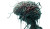 Brain Concept Design Vinyl Car Decal Sticker – Waterproof & UV-Resistant 8"