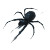 Oily Fantasy Spider Vinyl Car Decal Sticker – Waterproof & UV-Resistant 8"