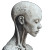 Two-Headed Albino Vinyl Car Decal Sticker – Waterproof & UV-Resistant 8"