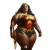 Wonder Woman Big Vinyl Car Decal Sticker – Waterproof & UV-Resistant 8"