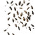Swarm Of Roaches Vinyl Car Decal Sticker – Waterproof & UV-Resistant 8"
