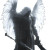 Angel Knight Vinyl Car Decal Sticker – Waterproof & UV-Resistant 8" Angel Knight Vinyl Car Decal Sticker – Waterproof & UV-Resistant 8"