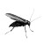 Sideview Insect Vinyl Car Decal Sticker – Waterproof & UV-Resistant 8"
