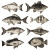 Vintage Fish Engraving Vinyl Car Decal Sticker – Waterproof & UV-Resistant 8"