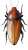 Giant Cockroach Vinyl Car Decal Sticker – Waterproof & UV-Resistant 8" Giant Cockroach Vinyl Car Decal Sticker – Waterproof & UV-Resistant 8"
