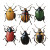 Beetles Photo Vinyl Car Decal Sticker – Waterproof & UV-Resistant 8"