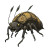 Steampunk Stone Beetle Vinyl Car Decal Sticker – Waterproof & UV-Resistant 8"