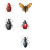 Joyful Nature Motifs Vinyl Car Decal Sticker – Waterproof & UV-Resistant 8"