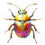 Colorful Cartoon Beetle Vinyl Car Decal Sticker – Waterproof & UV-Resistant 8"