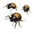 Brown Beetles Swarm Vinyl Car Decal Sticker – Waterproof & UV-Resistant 8"