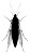 Insect Silhouette Vinyl Car Decal Sticker – Waterproof & UV-Resistant 8"