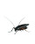 Creepy Cockroach Vinyl Car Decal Sticker – Waterproof & UV-Resistant 8"