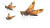 Flying Locusts Vinyl Car Decal Sticker – Waterproof & UV-Resistant 8"