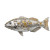 Luxury Fish Plate Vinyl Car Decal Sticker – Waterproof & UV-Resistant 8"