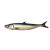 Realistic Sardine Vinyl Car Decal Sticker – Waterproof & UV-Resistant 8"