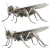 Mechanical Grasshopper Legs Vinyl Car Decal Sticker – Waterproof & UV-Resistant 8"