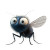 Pixar Style Fly Vinyl Car Decal Sticker – Waterproof & UV-Resistant 8"