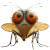 Fat Fuzzy Fly Vinyl Car Decal Sticker – Waterproof & UV-Resistant 8"