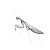 Mantis Sketch Vinyl Car Decal Sticker – Waterproof & UV-Resistant 8"