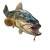 Striking Walleye Fish Vinyl Car Decal Sticker – Waterproof & UV-Resistant 8"