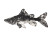 Gyotaku Coelacanth Print Vinyl Car Decal Sticker – Waterproof & UV-Resistant 8"